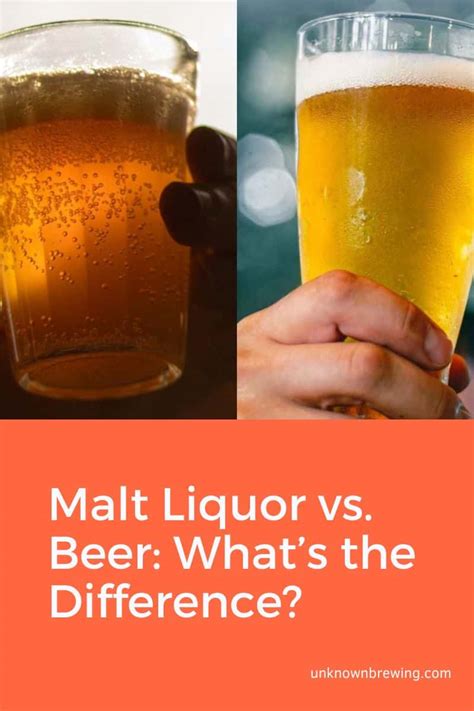 malt liquor vs beer difference.